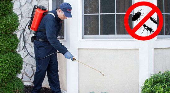 Hemşin Dezenfeksiyon böcek ilaçlama ve haşere kontrolü — ilaclama-tr.com